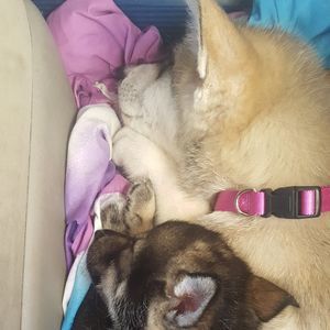 Meet your Posher, Mekenzie